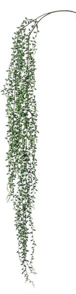 Mű Senecio kúszó növény 95 cm – élethű futónövény - 91 - 120 cm