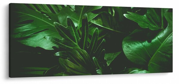 Kép - Pálmalevél (120x50 cm)