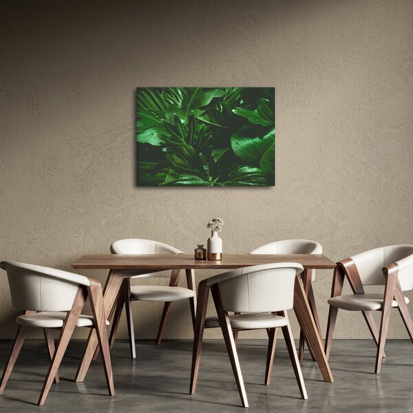 Kép - Pálmalevél (70x50 cm)