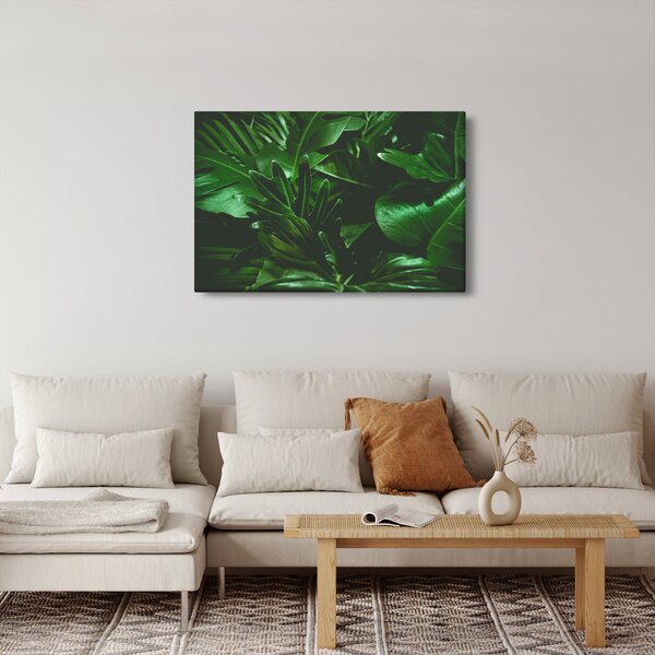 Kép - Pálmalevél (90x60 cm)