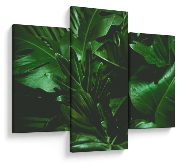 Kép - Pálmalevél (90x60 cm)