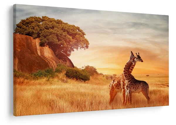 Kép - Zsiráfok Afrikában (90x60 cm)