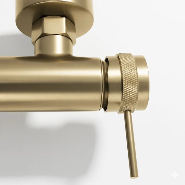 Fürdőkád csaptelep Rea Lungo Grip Brush Gold