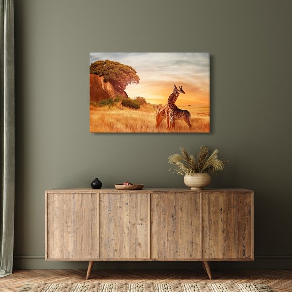 Kép - Zsiráfok Afrikában (90x60 cm)