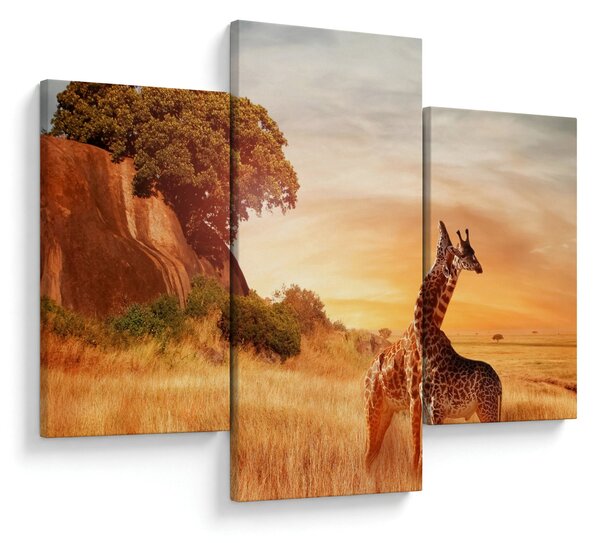 Kép - Zsiráfok Afrikában (90x60 cm)