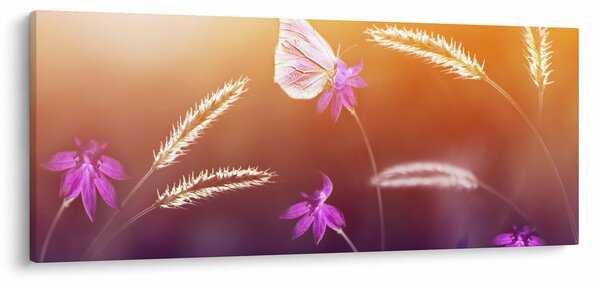 Kép - Rózsaszín pillangó (120x50 cm)