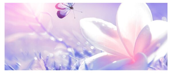 Kép - Pillangó érkezése a virágra (120x50 cm)