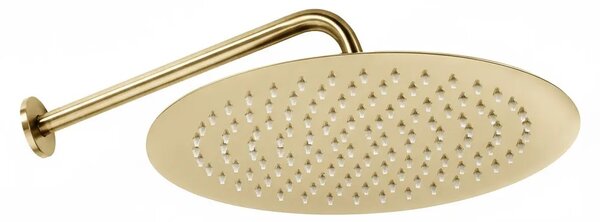 Zuhanyszett rejtett Rea Foss Clif Brush Gold + box