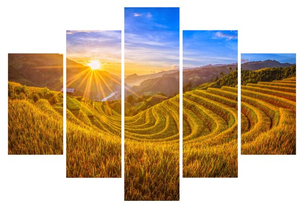 Kép - Rizs teraszok Vietnamban (150x105 cm)