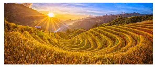 Kép - Rizs teraszok Vietnamban (120x50 cm)