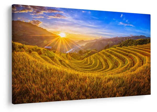 Kép - Rizs teraszok Vietnamban (90x60 cm)