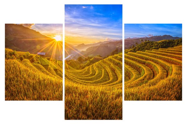 Kép - Rizs teraszok Vietnamban (90x60 cm)