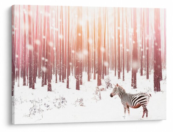 Kép - Zebra egy havas erdőben (70x50 cm)