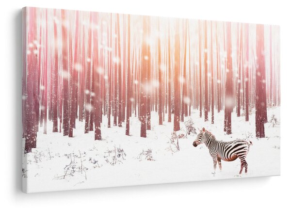 Kép - Zebra egy havas erdőben (90x60 cm)