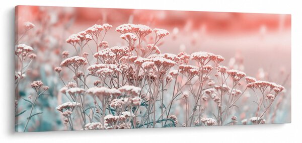 Kép - Réti virágok (120x50 cm)