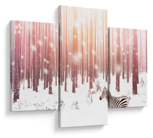 Kép - Zebra egy havas erdőben (90x60 cm)