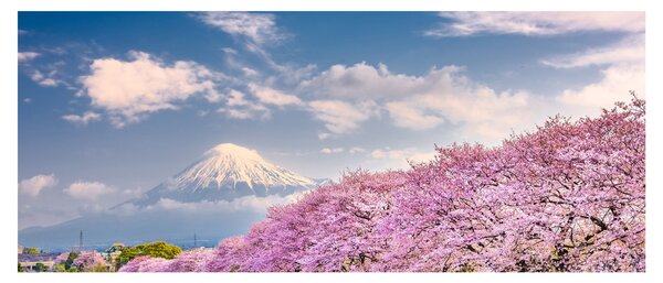 Kép - Japán tavaszi táj (120x50 cm)