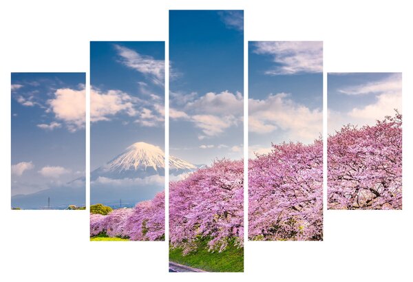 Kép - Japán tavaszi táj (150x105 cm)