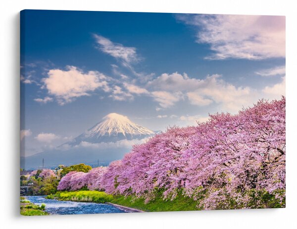 Kép - Japán tavaszi táj (70x50 cm)