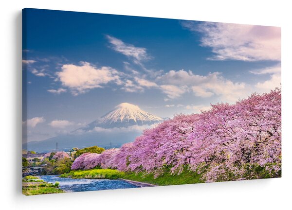 Kép - Japán tavaszi táj (90x60 cm)