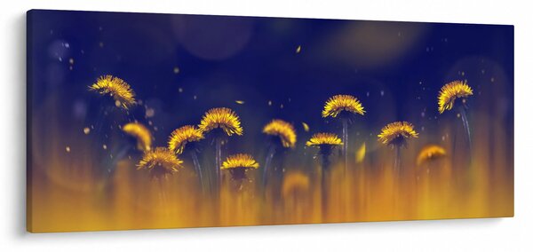 Kép - Pitypang (120x50 cm)