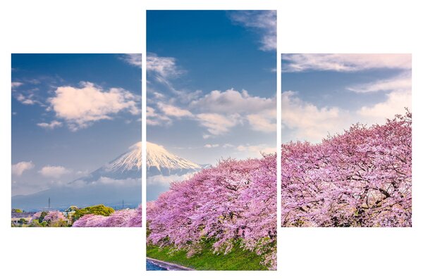 Kép - Japán tavaszi táj (90x60 cm)