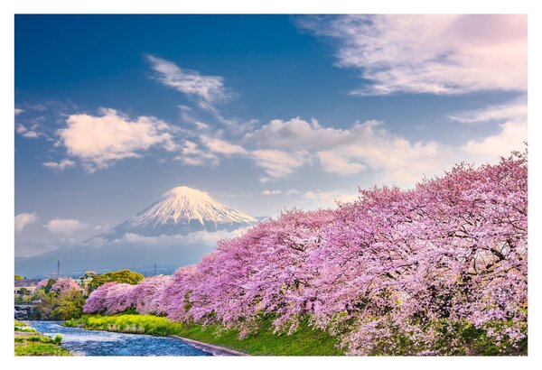 Kép - Japán tavaszi táj (90x60 cm)