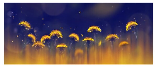 Kép - Pitypang (120x50 cm)