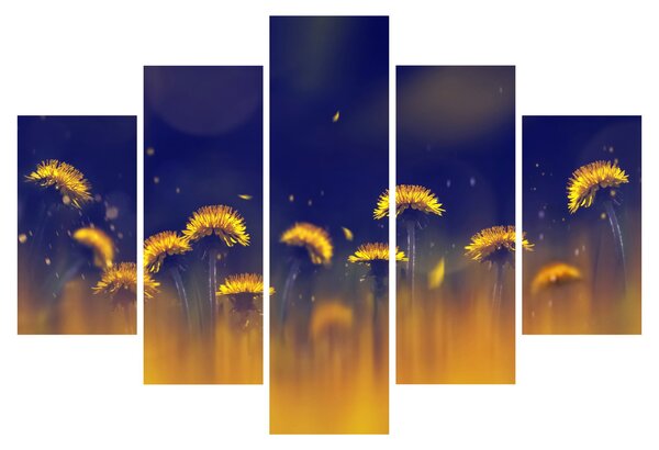 Kép - Pitypang (150x105 cm)