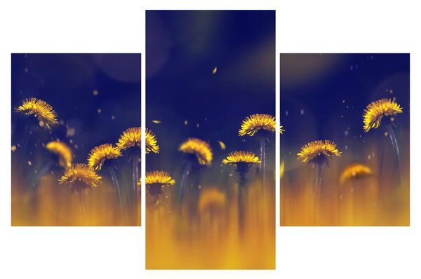 Kép - Pitypang (90x60 cm)