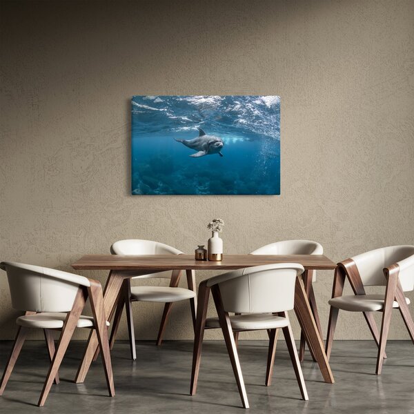 Kép - Delfin a felszín alatt (90x60 cm)