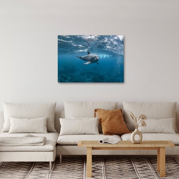 Kép - Delfin a felszín alatt (70x50 cm)