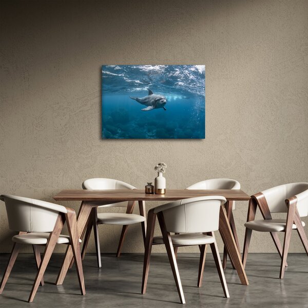 Kép - Delfin a felszín alatt (70x50 cm)