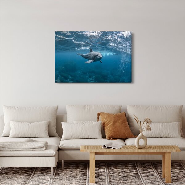 Kép - Delfin a felszín alatt (90x60 cm)