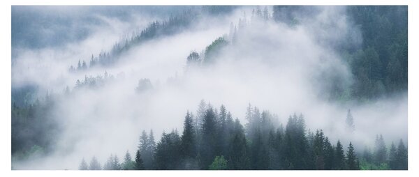 Kép - Fák a ködben (120x50 cm)