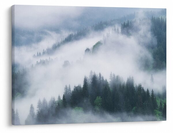 Kép - Fák a ködben (70x50 cm)
