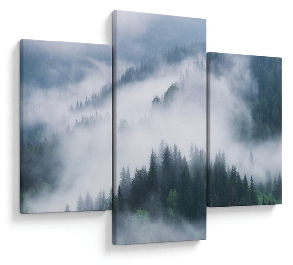 Kép - Fák a ködben (90x60 cm)
