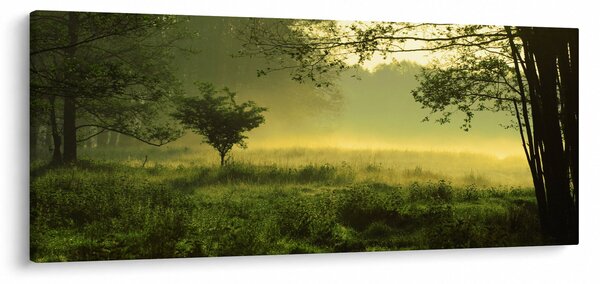Kép - Ébredő erdő (120x50 cm)