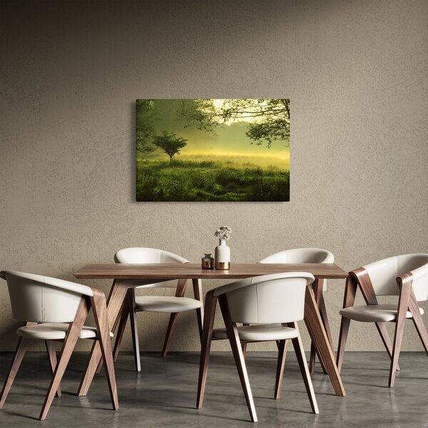 Kép - Ébredő erdő (90x60 cm)