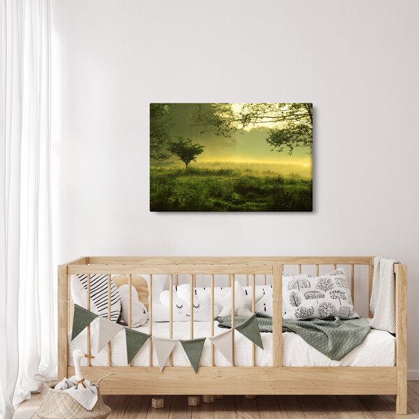 Kép - Ébredő erdő (90x60 cm)