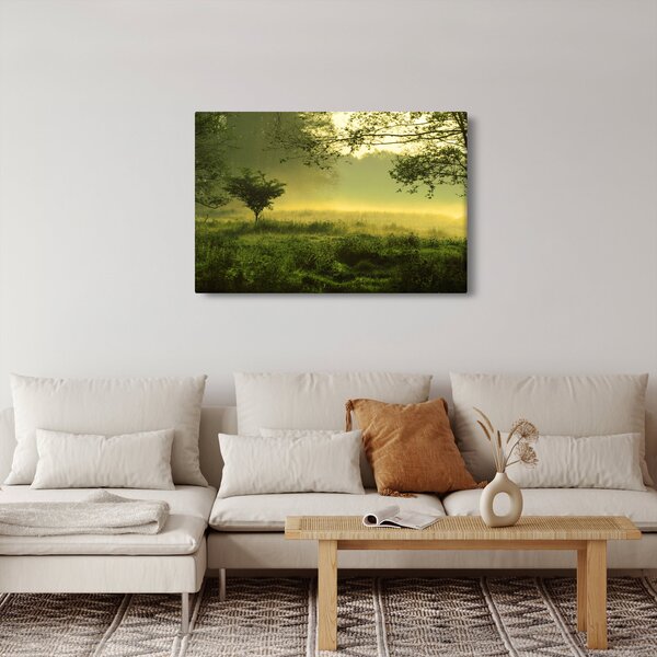 Kép - Ébredő erdő (90x60 cm)