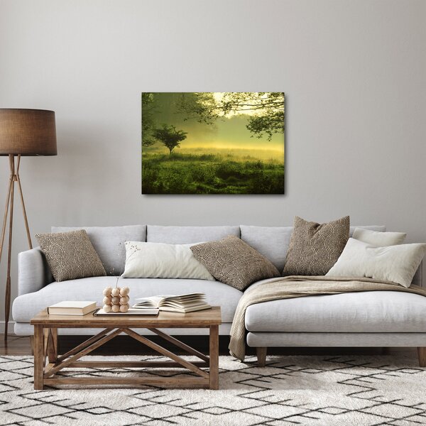 Kép - Ébredő erdő (70x50 cm)