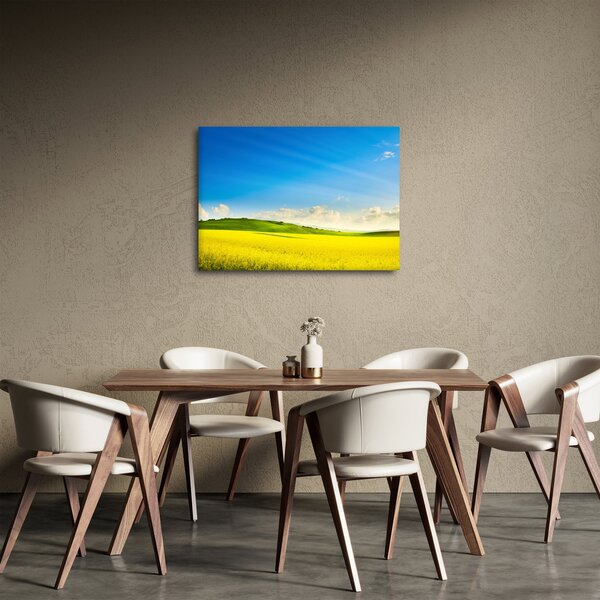 Kép - Tavaszi ég (70x50 cm)