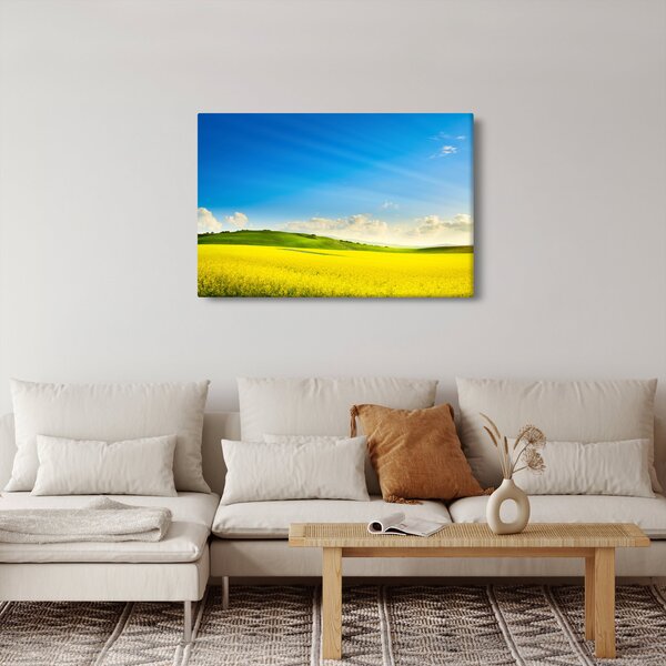 Kép - Tavaszi ég (90x60 cm)