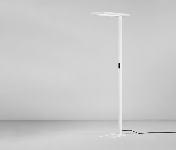 Biolight LED dekoratív állólámpa