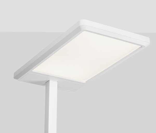 Biolight LED dekoratív állólámpa