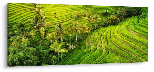 Kép - Rizs teraszok (120x50 cm)