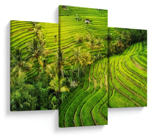 Kép - Rizs teraszok (90x60 cm)