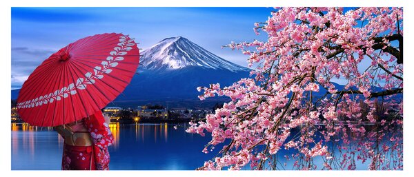 Kép - Kilátás a csúcsra, Japán (120x50 cm)