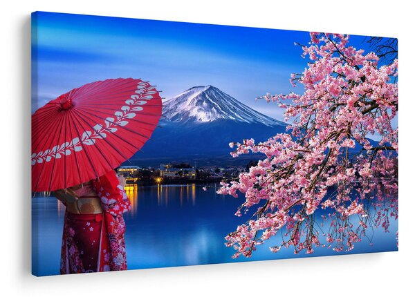 Kép - Kilátás a csúcsra, Japán (90x60 cm)